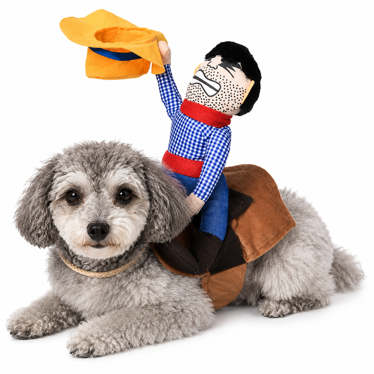 Pet Costumes – Dogs & Cats | 25+ Designs | 4 Sizes 🐾