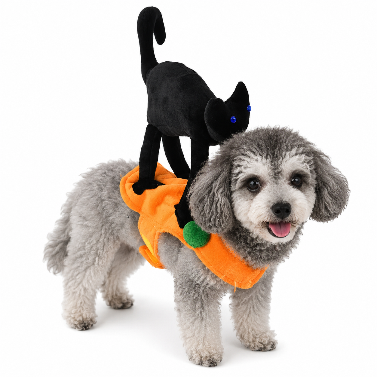 Pet Costumes – Dogs & Cats | 25+ Designs | 4 Sizes 🐾