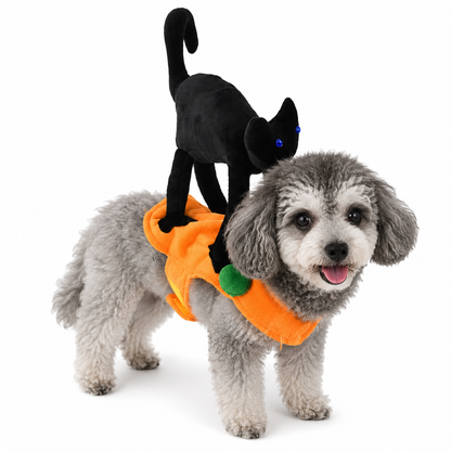 Pet Costumes – Dogs & Cats | 25+ Designs | 4 Sizes 🐾