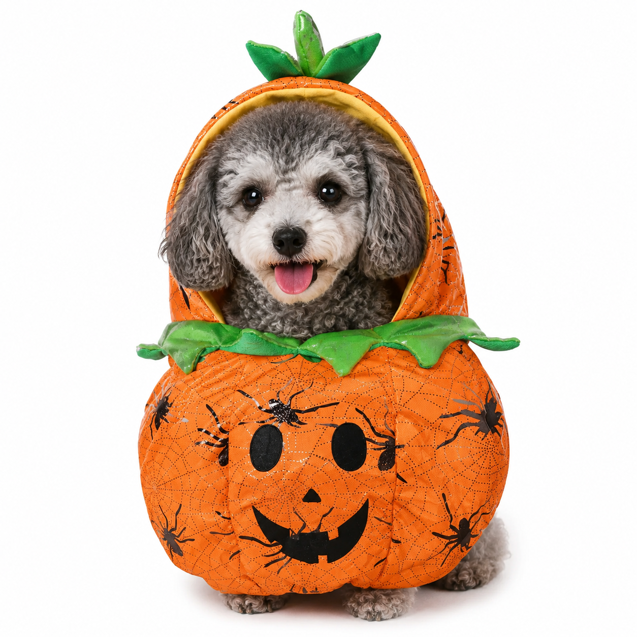 Pet Costumes – Dogs & Cats | 25+ Designs | 4 Sizes 🐾