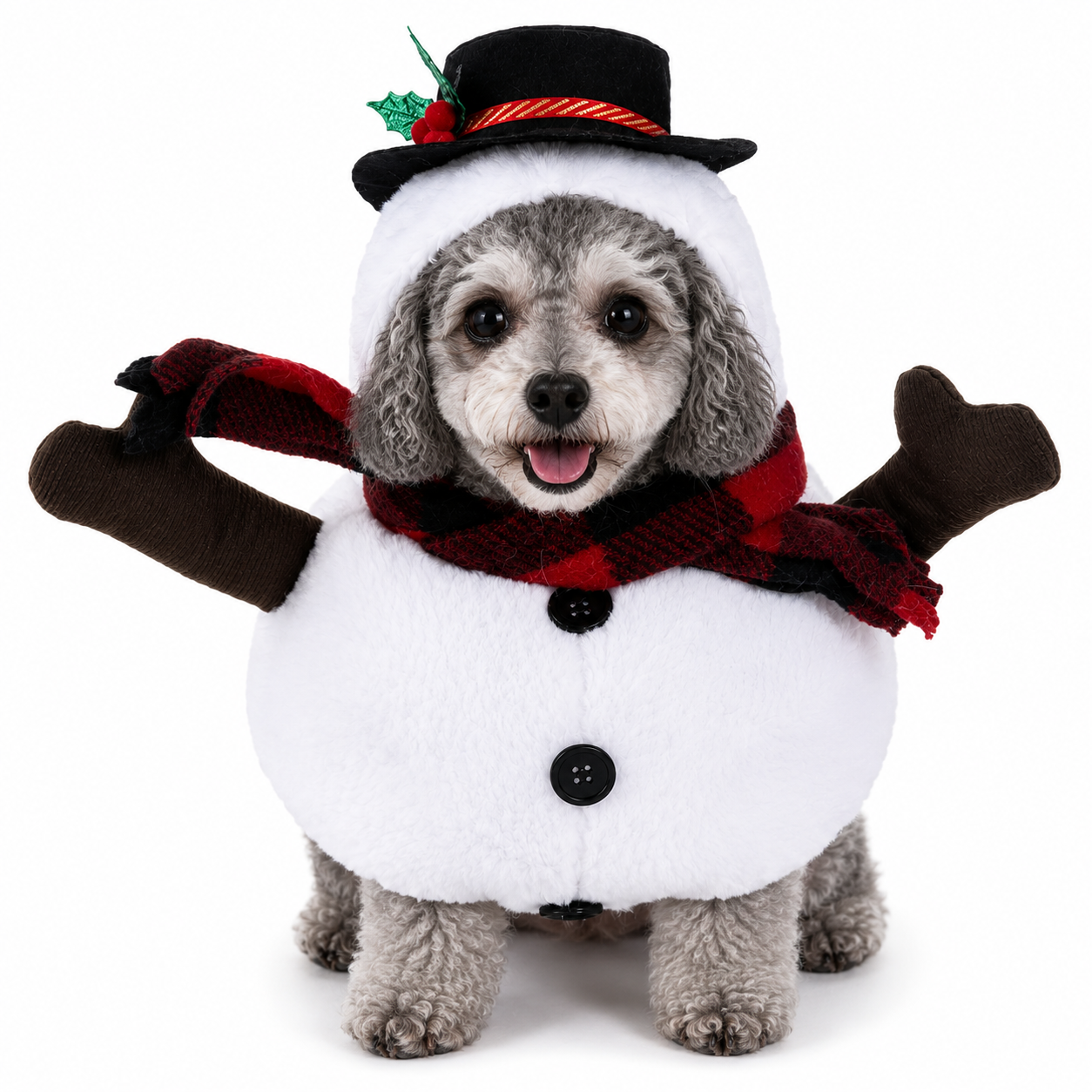 Pet Costumes – Dogs & Cats | 25+ Designs | 4 Sizes 🐾