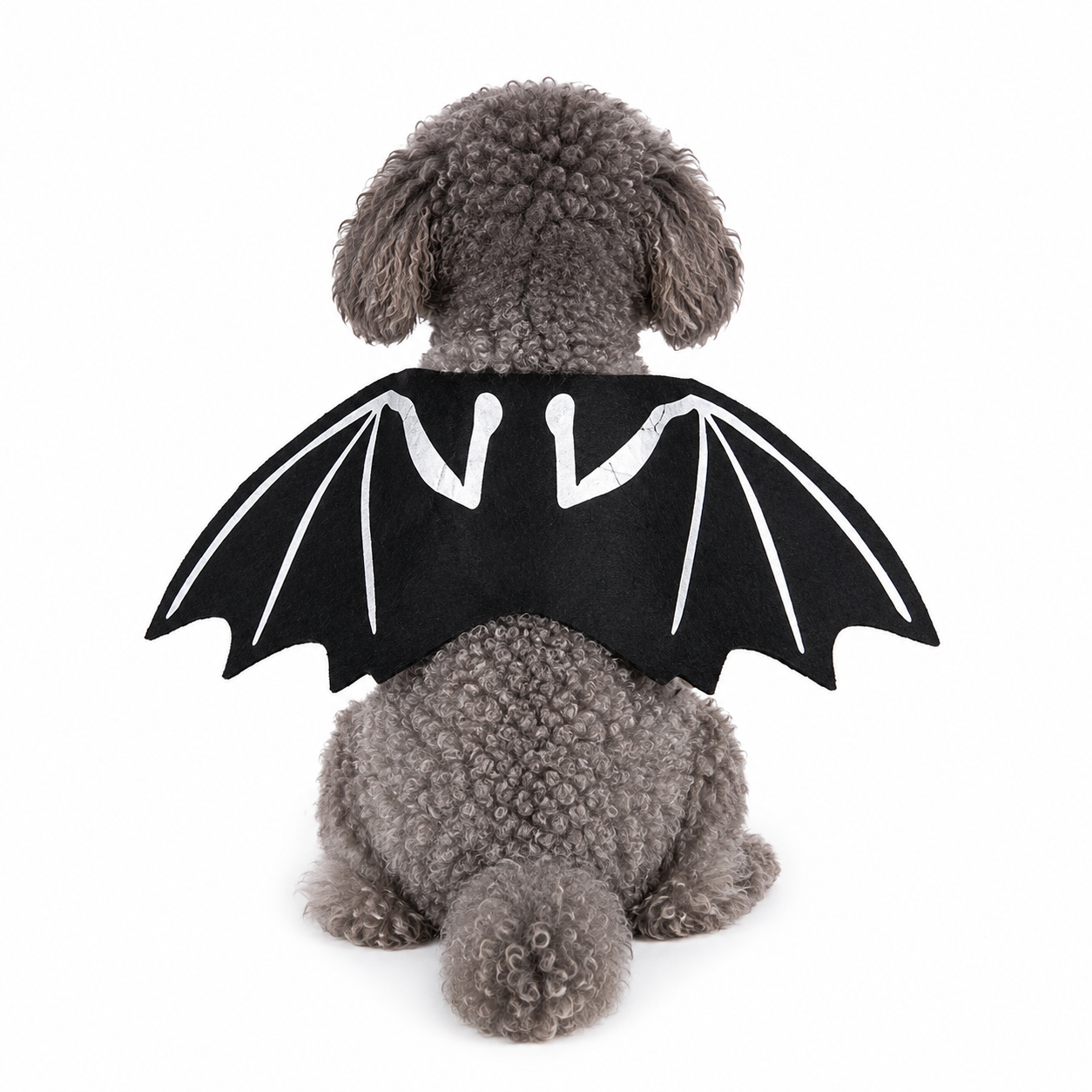 Pet Costumes – Dogs & Cats | 25+ Designs | 4 Sizes 🐾