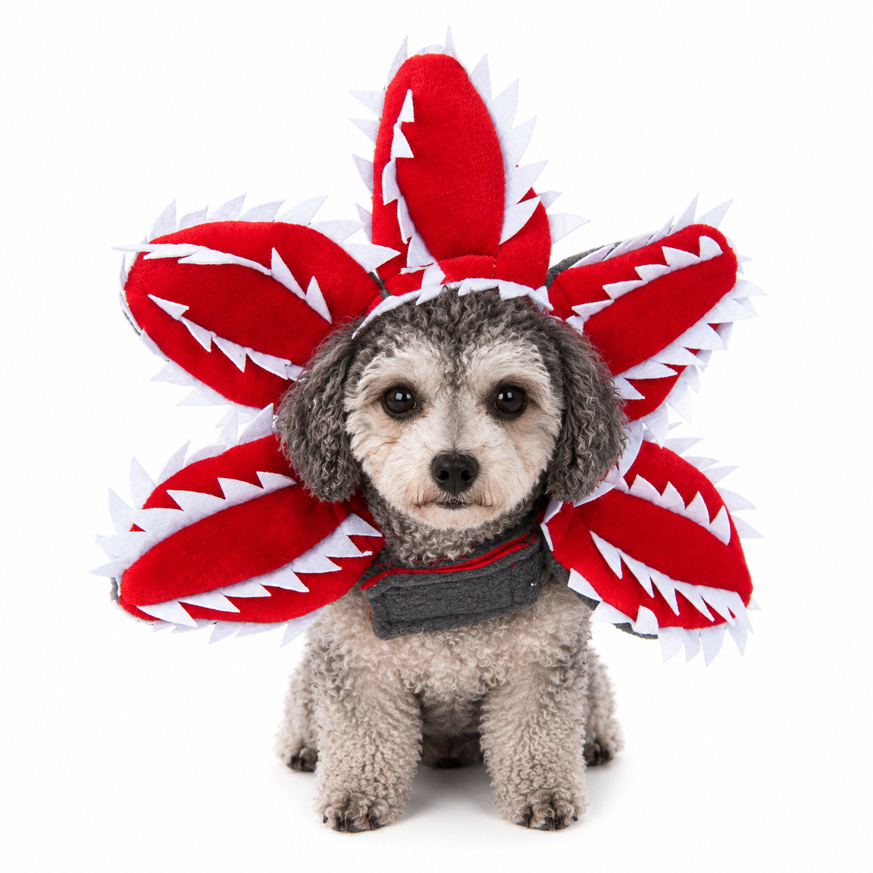 Pet Costumes – Dogs & Cats | 25+ Designs | 4 Sizes 🐾
