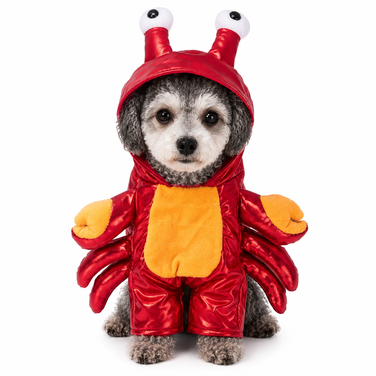 Pet Costumes – Dogs & Cats | 25+ Designs | 4 Sizes 🐾