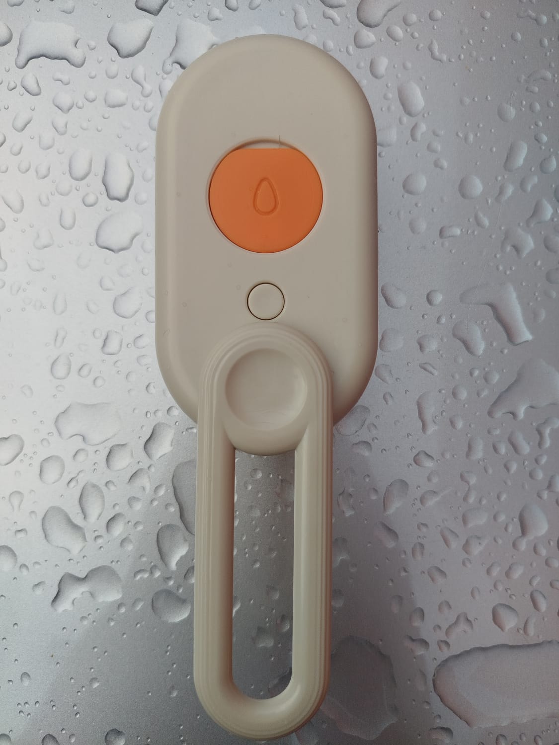 3-in-1 Steam Pet Brush — Brush, Massage & Moisturize in One