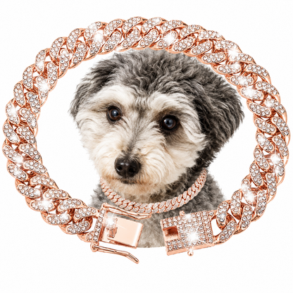 💎 Diamond Link Dog Collar | Mayu Life Pet Collection
