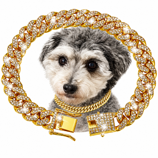 💎 Diamond Link Dog Collar | Mayu Life Pet Collection